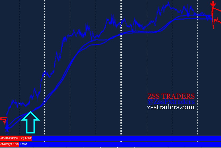 Forex Trading Tips for Beginners